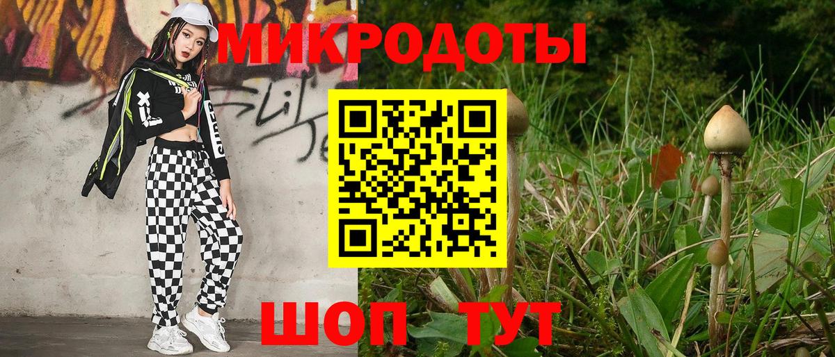 купить закладку  Галлюциногенные грибы прущие грибы  Вход с VPN  Электросталь 